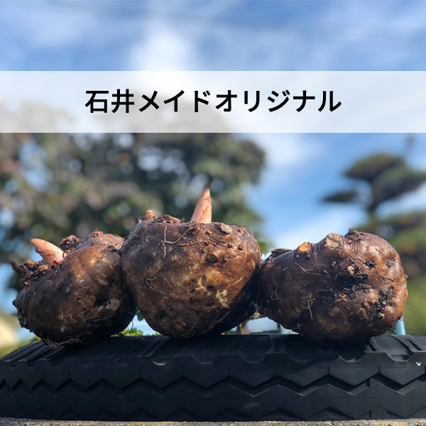 名称未設定のデザイン (12)