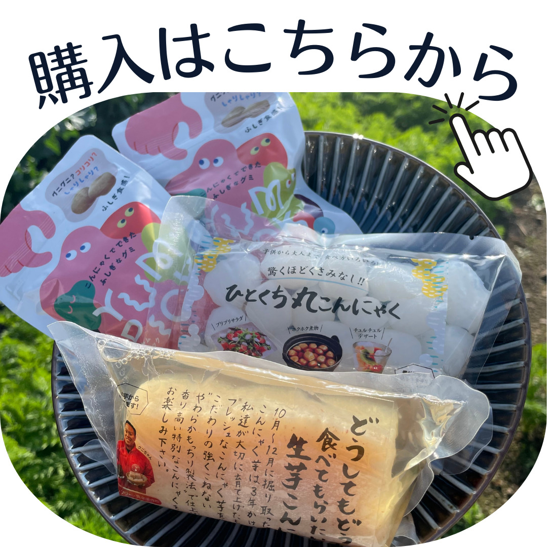 群馬県産】こんにゃく芋 箱込み20kg以内 手作りこんにゃく用【大きめ 